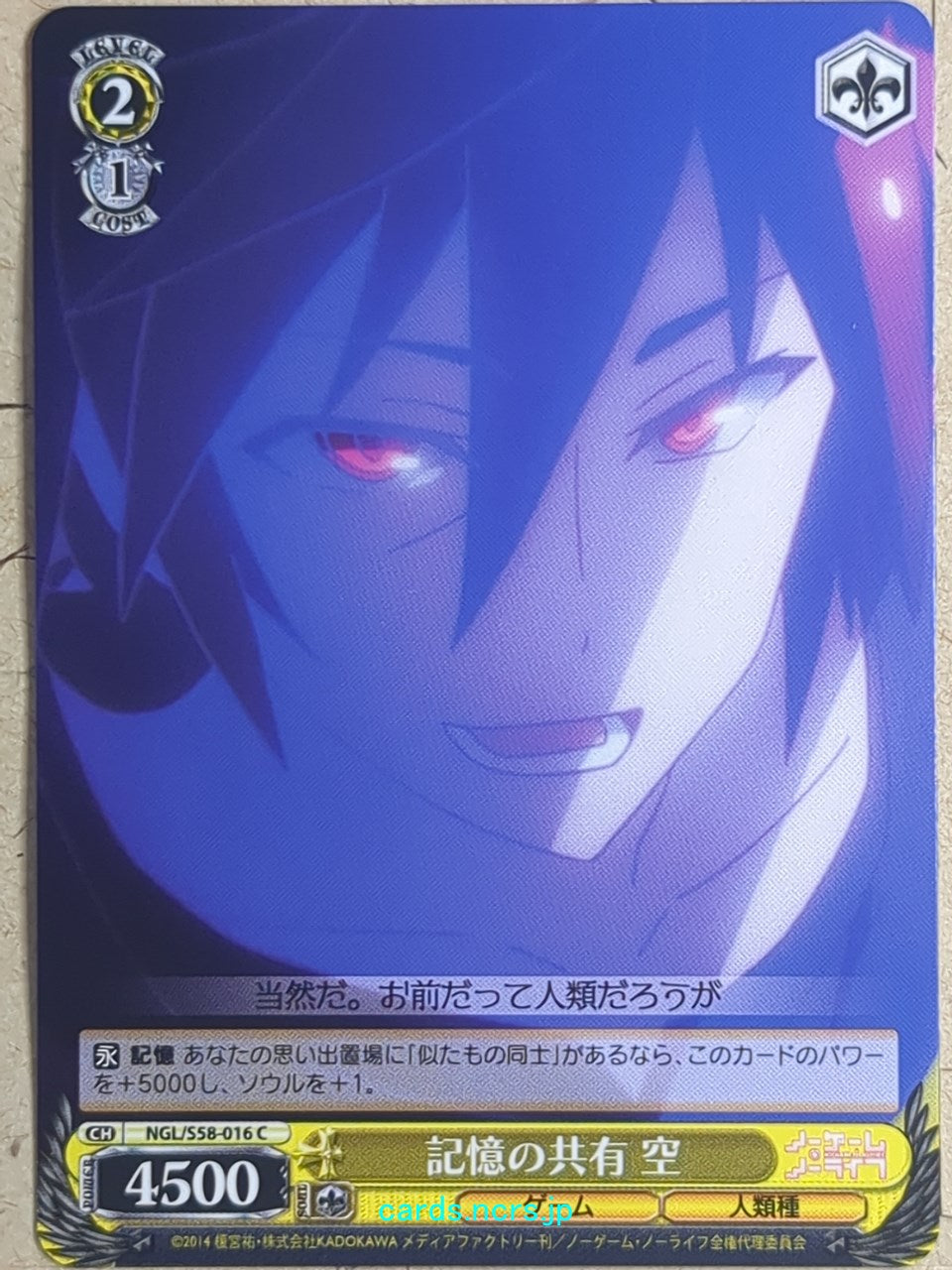 Weiss Schwarz No Game No Life NGL/S58-016C C Sora Trading Card NM