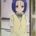 Weiss Schwarz To Love Ru TL/W37-095C C Haruna Sairenji Trading Card NM