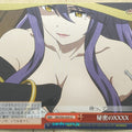 Weiss Schwarz Goblin Slayer GBS/S63-059CC CC Witch Trading Card NM