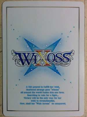 Backside Image