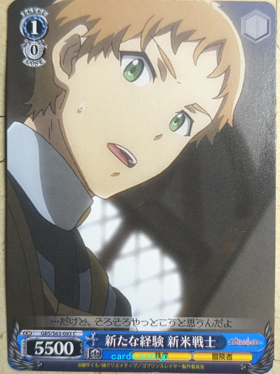 Weiss Schwarz Goblin Slayer GBS/S63-093C C rookie soldier Trading Card NM