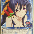Precious Memories High School DxD PM/HIG-P-008 PR Akeno Himejima Trading Card NM