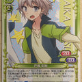 Precious Memories My Youth Romantic Comedy Is Wrong. as I Expected PM/YAH-01-066 3 Star Saika Totsuka Trading Card NM