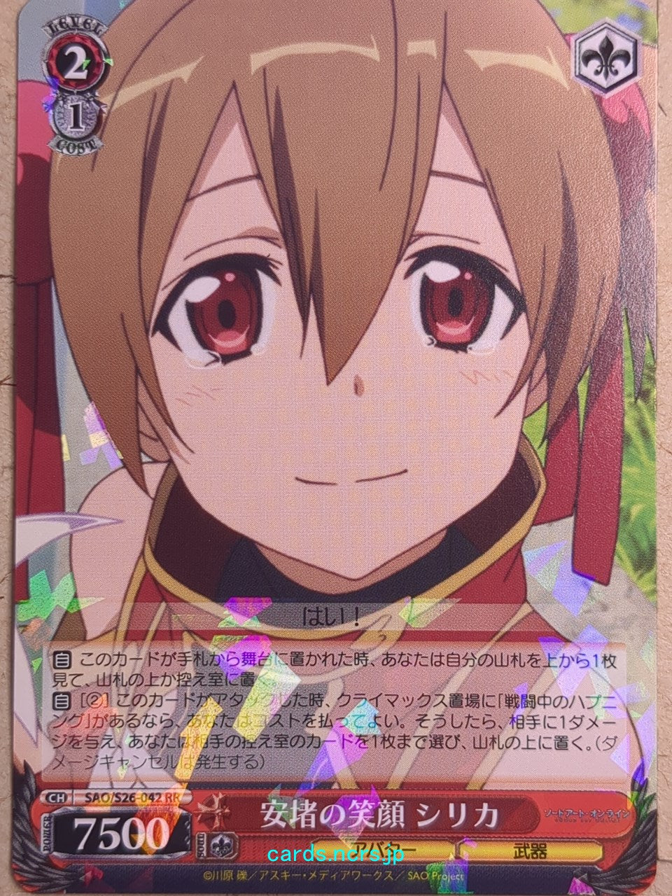 Weiss Schwarz Sword Art Online SAO/S26-042RR RR Silica Trading Card NM