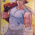 Weiss Schwarz The King of Fighters KF/S05-056R R Terry Bogard Trading Card NM