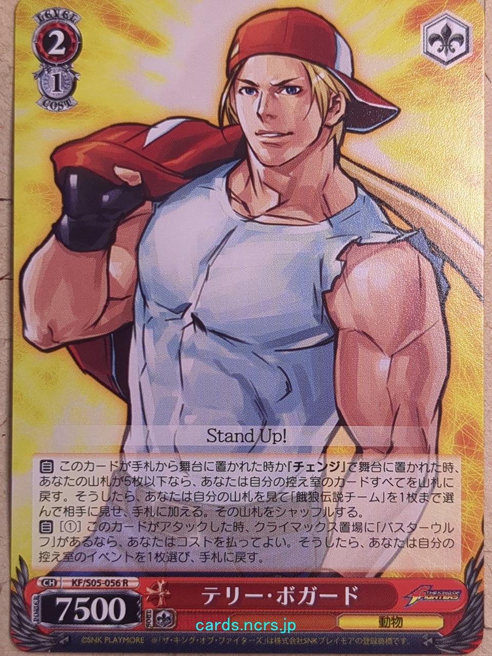 Weiss Schwarz The King of Fighters KF/S05-056R R Terry Bogard Trading Card NM