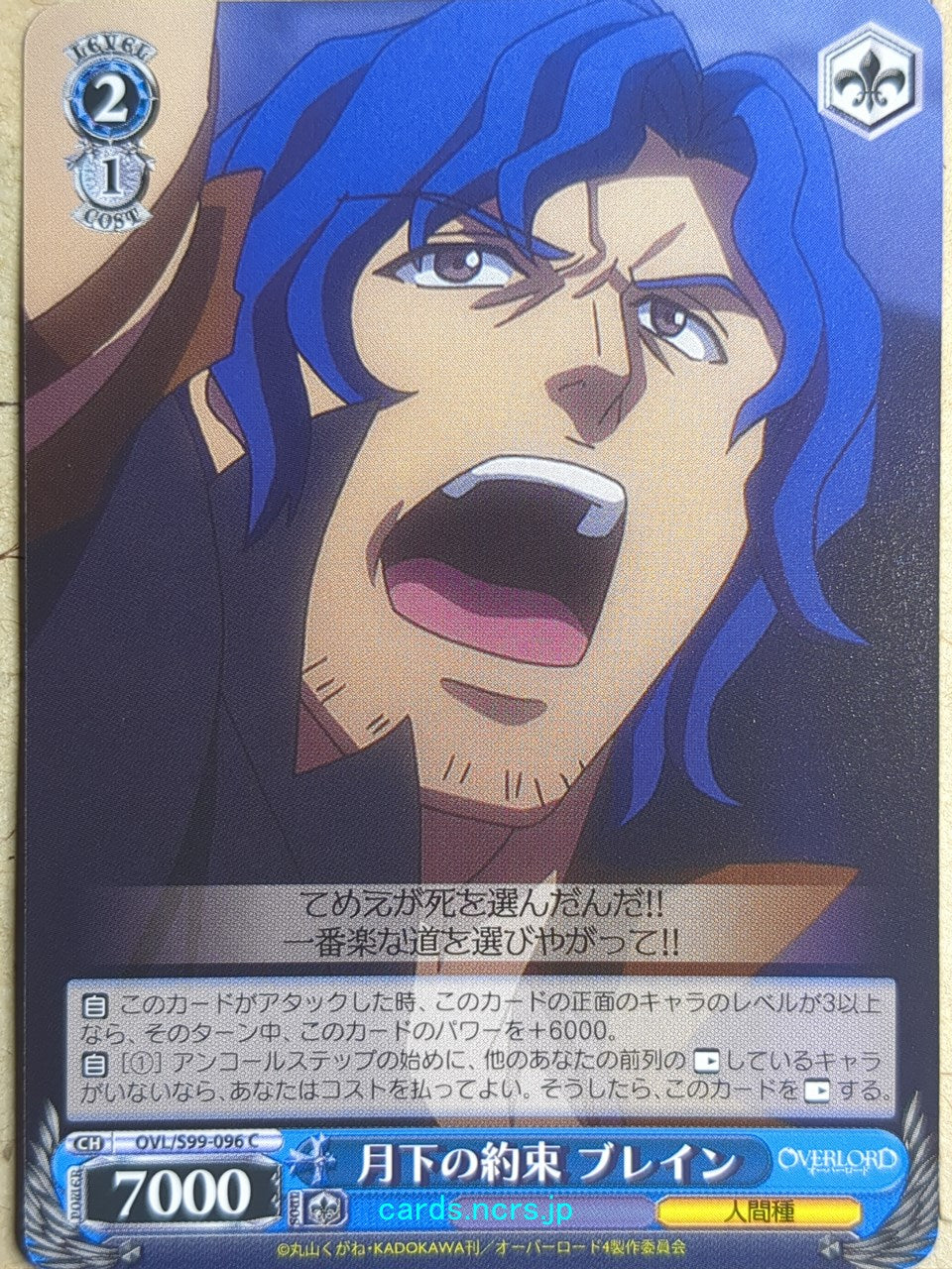 Weiss Schwarz OverLord OVL/S99-096C C Brain Trading Card NM