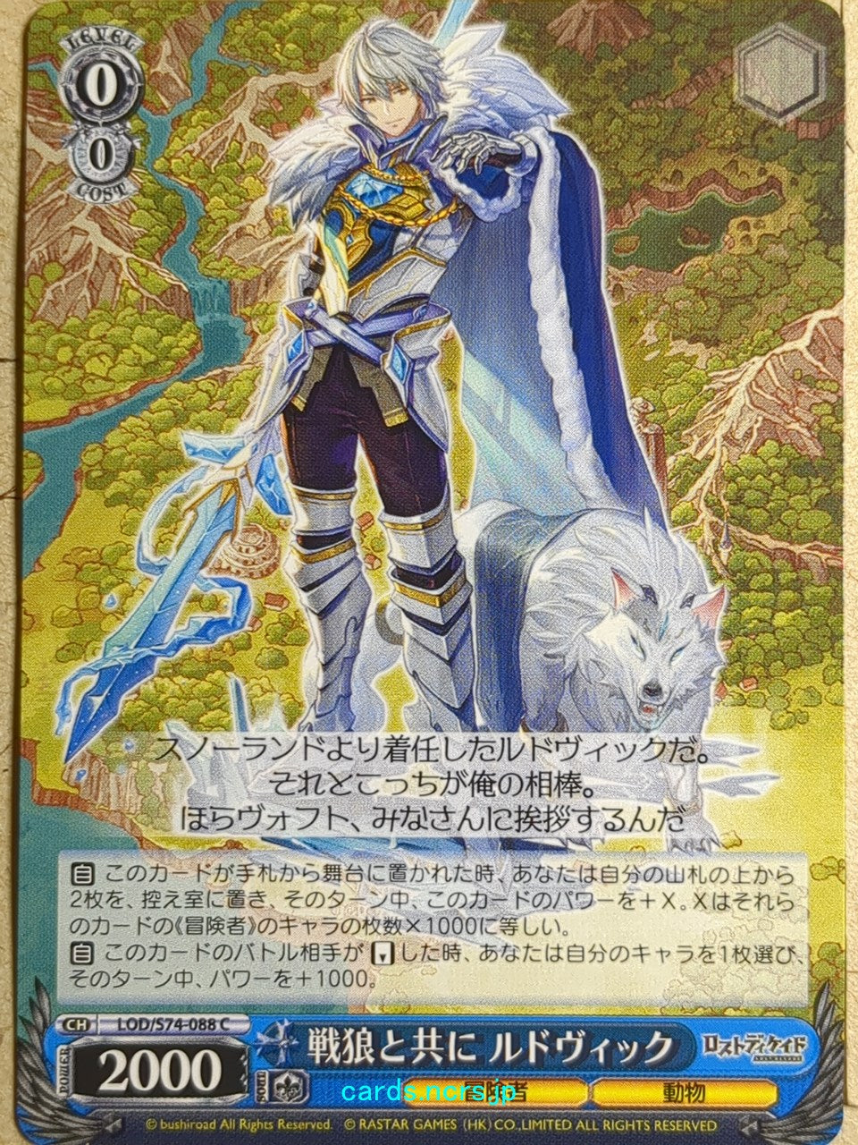 Weiss Schwarz Lost Decade LOD/S74-088C C Loodvyk Trading Card NM