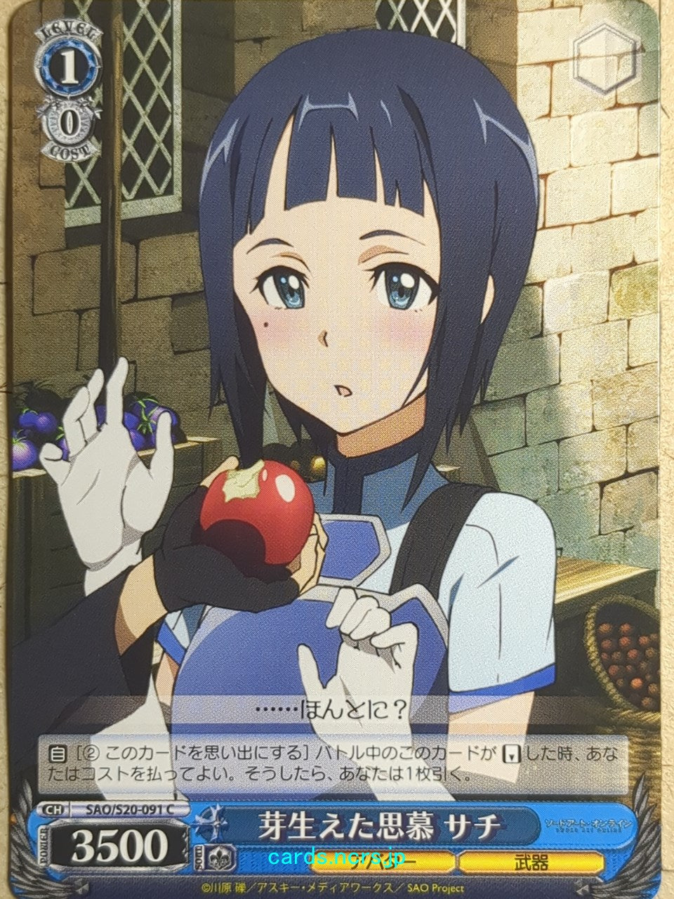 Weiss Schwarz Sword Art Online SAO/S20-091C C Sachi Trading Card NM