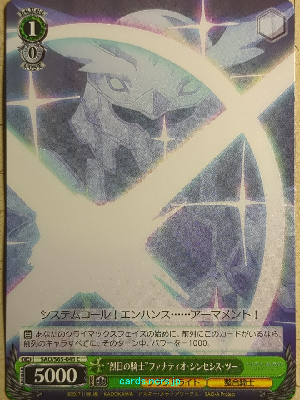Weiss Schwarz Sword Art Online SAO/S65-045C C Fanatio Trading Card NM