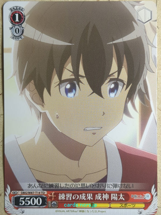 Weiss Schwarz The Day I Became a God DBG/W87-T14TD TD Yota Narukami Trading Card NM