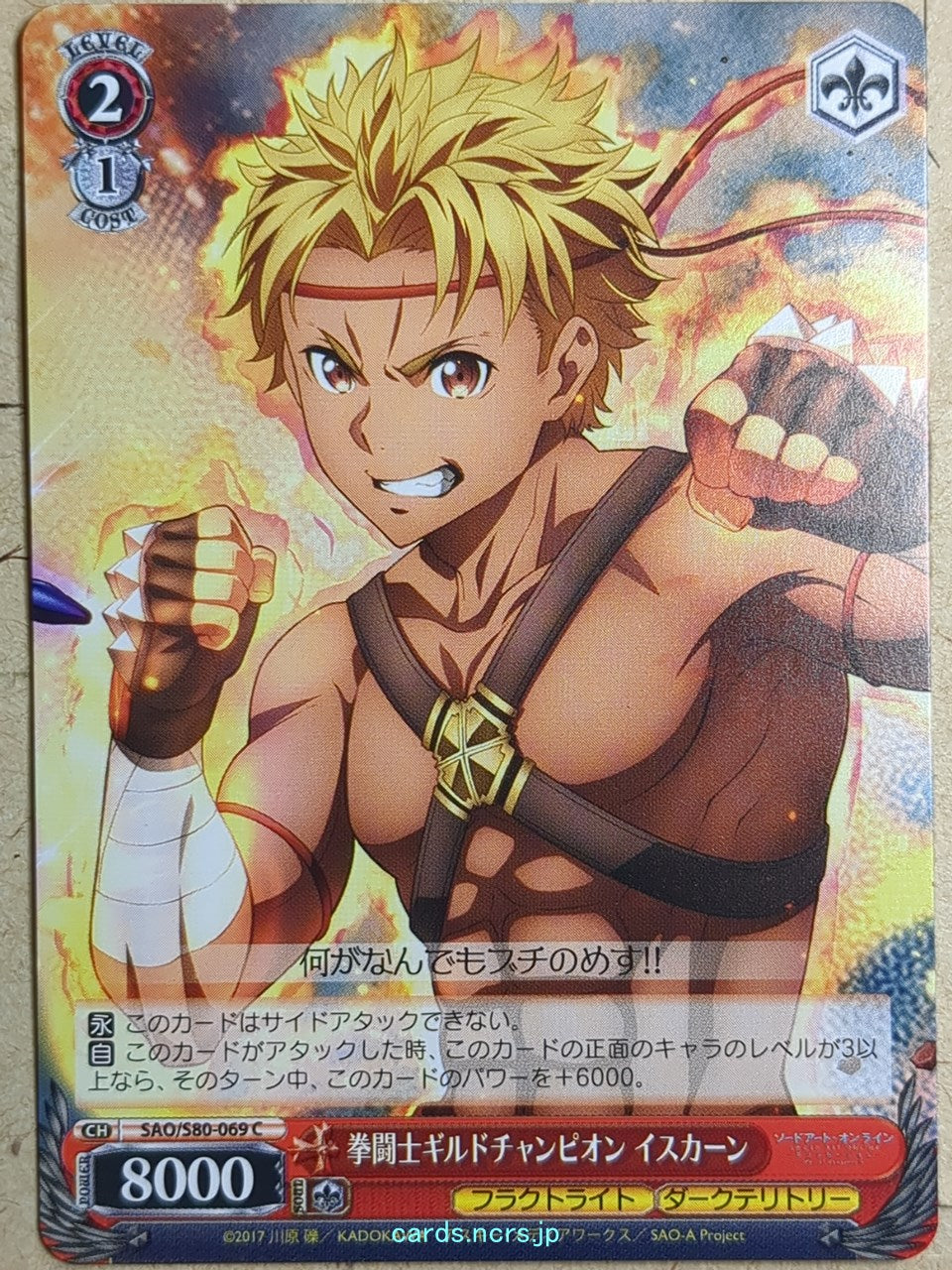 Weiss Schwarz Sword Art Online SAO/S80-069C C Iskahn Trading Card NM
