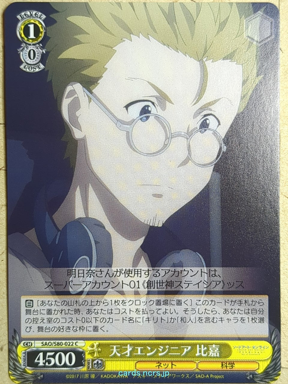Weiss Schwarz Sword Art Online SAO/S80-022C C Higa Trading Card NM