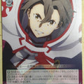 Weiss Schwarz Sword Art Online SAO/S80-049bC C Eiji Trading Card NM