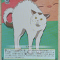 Weiss Schwarz Chainsaw Man CSM/S96-020C C Meowy Trading Card NM