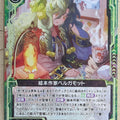 Z/X Zillions of Enemy X Z/X B16-093-UC UC Bergamot Trading Card NM