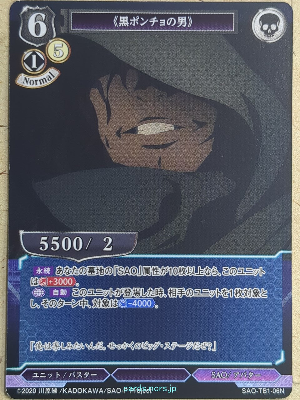 Build Divide Sword Art Online BD/SAO-TB1-06N N Trading Card NM