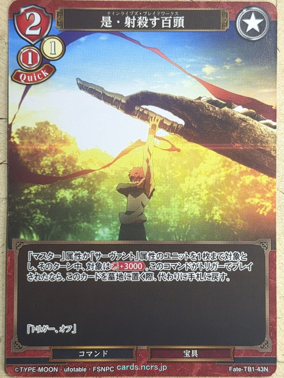 Build Divide Fate stay night BD/Fate-TB1-43N N Shirou Emiya Trading Card NM