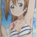 Weiss Schwarz Love Live LL/W24-068C C Honoka Kousaka Trading Card NM