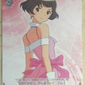 Weiss Schwarz Idolmaster IM/S21-095RE RE Ryo Akizuki Trading Card NM