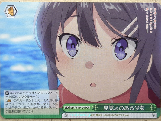 Weiss Schwarz Rascal Does Not Dream of Bunny Girl Senpai SBY/W114-046CR CR  Trad