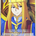 Weiss Schwarz The Familiar of Zero ZM/WE13-T04TD TD Vittorio Trading Card NM