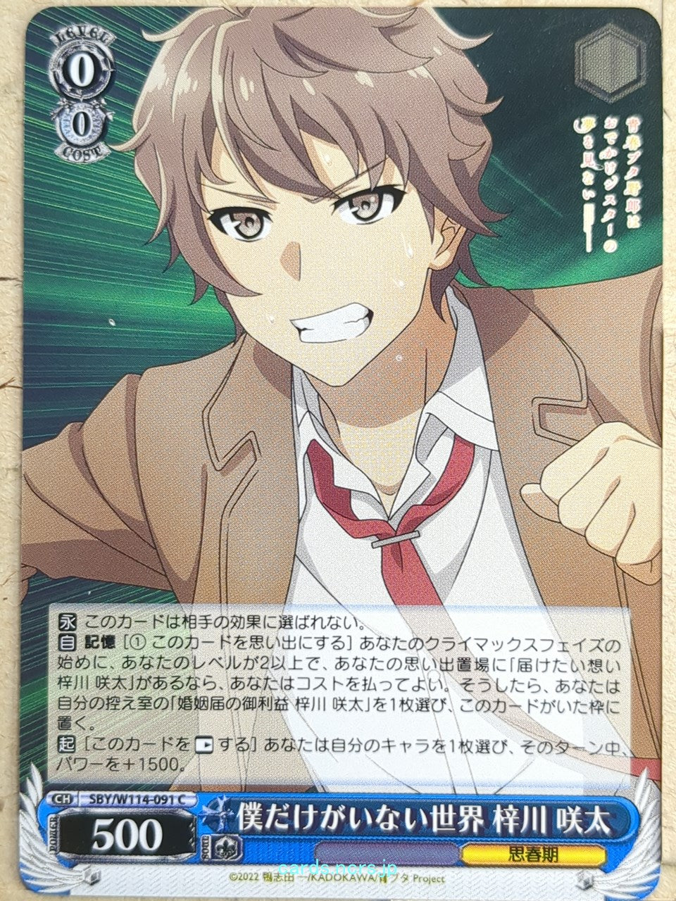Weiss Schwarz Rascal Does Not Dream of Bunny Girl Senpai SBY/W114-091C C Sakuta Azusagawa Trading Card NM