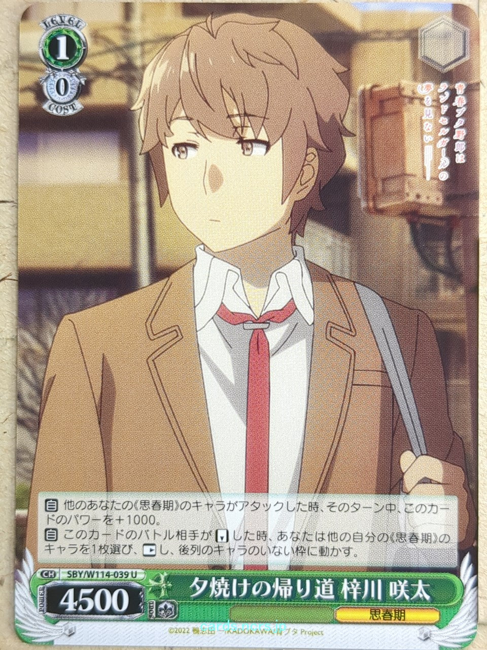 Weiss Schwarz Rascal Does Not Dream of Bunny Girl Senpai SBY/W114-039U U Sakuta Azusagawa Trading Card NM