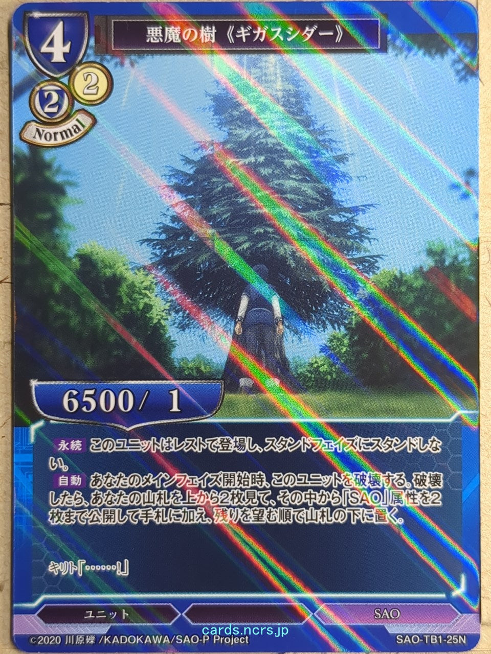 Build Divide Sword Art Online BD/SAO-TB1-25NH N Holo Kirito Trading Card NM