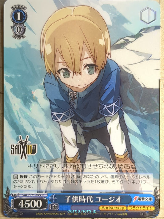 Weiss Schwarz Sword Art Online SAO/S71-079R R Eugeo Trading Card NM