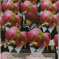 Weiss Schwarz Assault Lily ALL/S90-075U U Kaede Trading Card NM