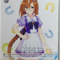 Weiss Schwarz Uma Musume UMA/W106-106C C Ikuno Dictus Trading Card NM