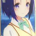Weiss Schwarz To Love Ru TL/W42-092C C Haruna Sairenji Trading Card NM