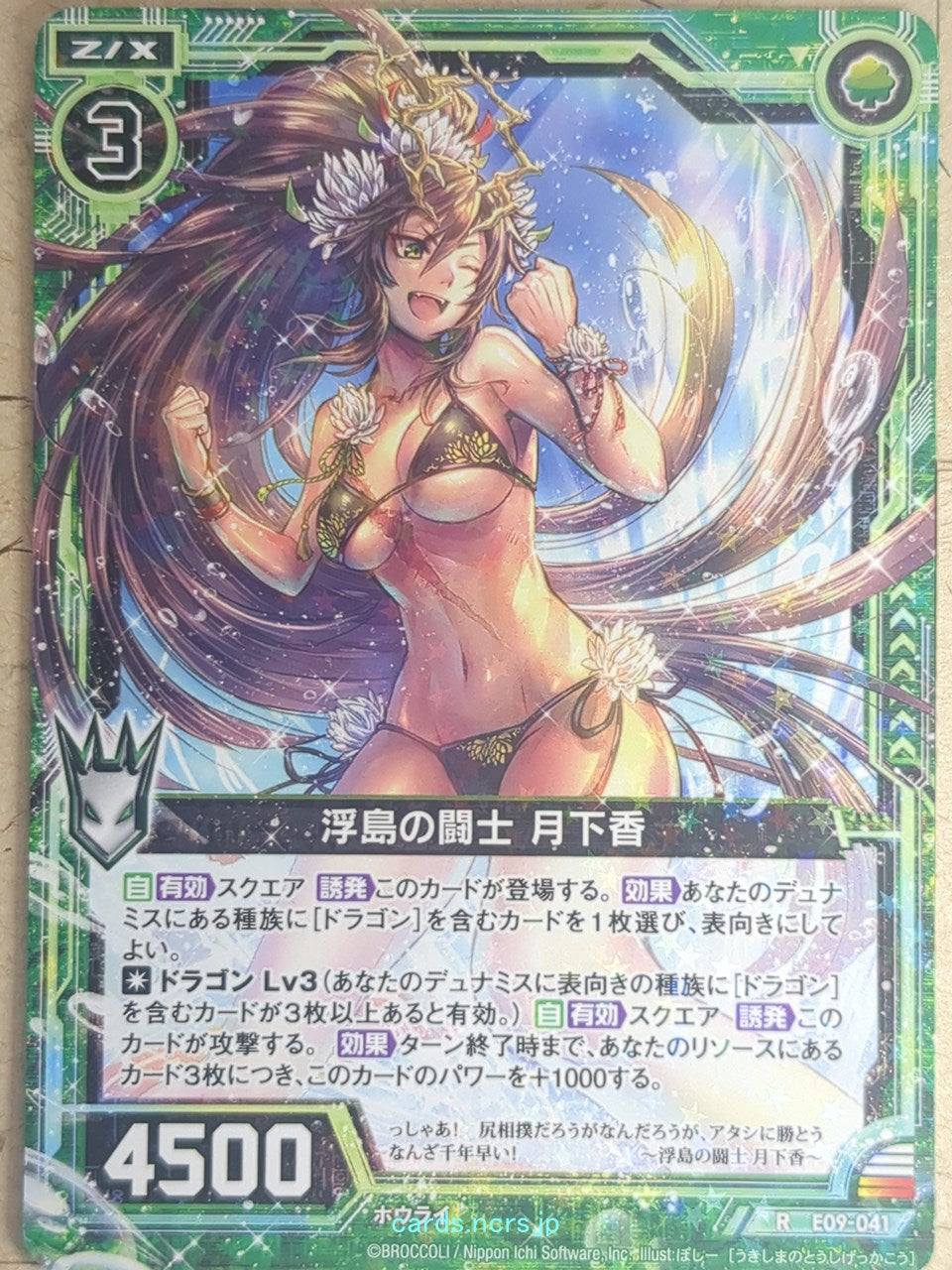 Z/X Zillions of Enemy X Z/X E09-041-R R Gekkakou Trading Card NM