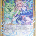 Z/X Zillions of Enemy X Z/X B38-027-N N Trading Card NM