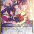 Weiss Schwarz Heaven Burns Red HBR/W117-005R R Mari Satsuki Trading Card NM