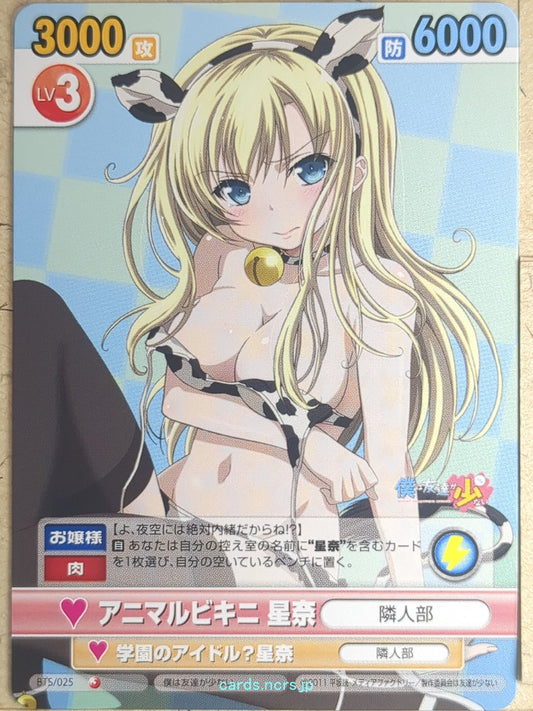 Victory Spark Haganai VS/BTS/025 1 Star Sena Kashiwazaki Trading Card NM