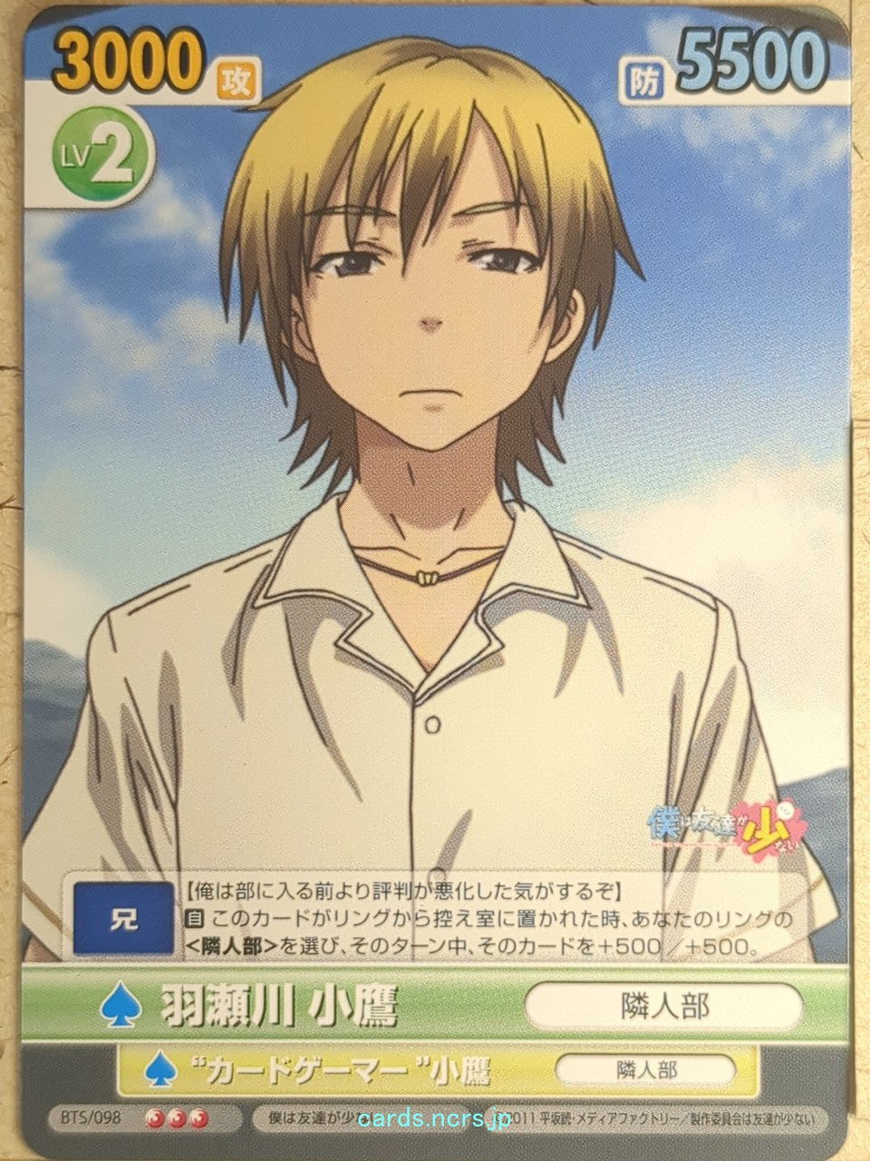 Victory Spark Haganai VS/BTS/098 3 Star Kodaka Hasegawa Trading Card NM