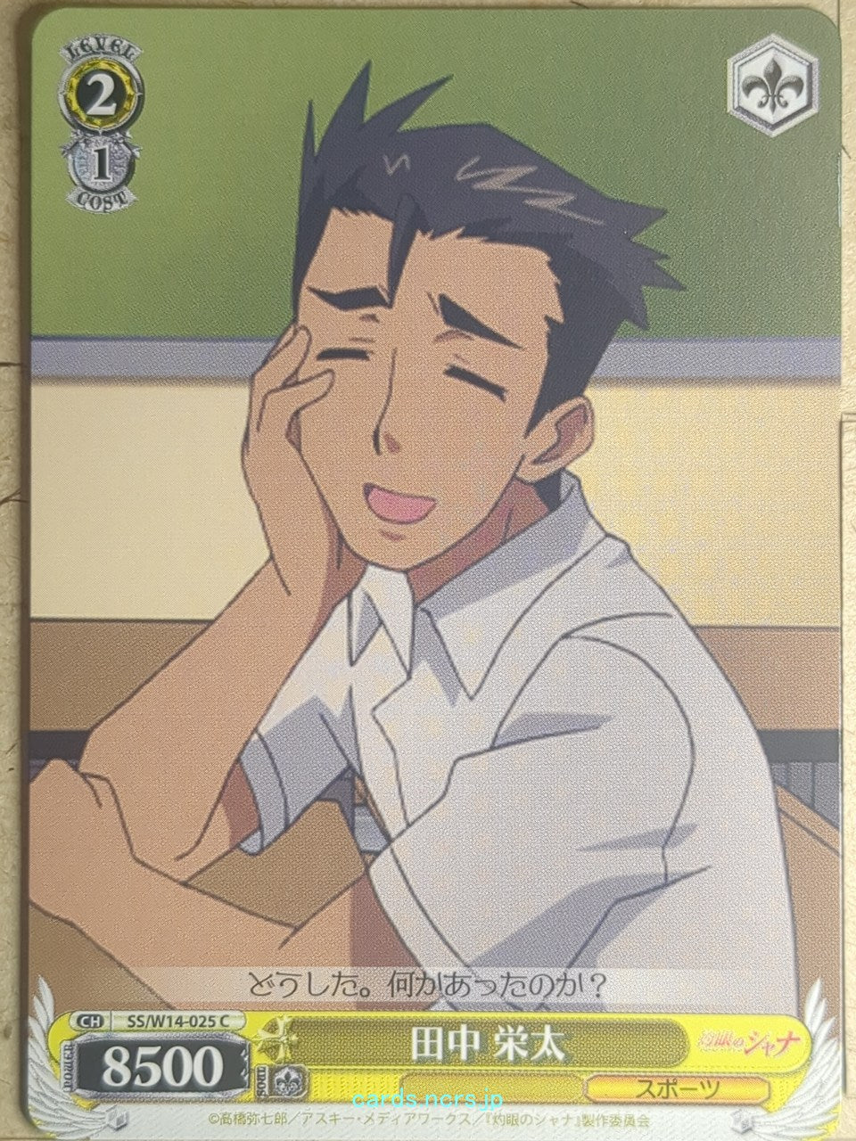 Weiss Schwarz Shakugan no Shana SS/W14-025C C Eita Tanaka Trading Card NM