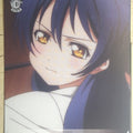 Weiss Schwarz Love Live LL/W24-059U U Umi Sonoda Trading Card NM
