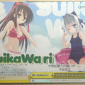 Weiss Schwarz Is This a Zombie? Fkz/W65-021CC CC Trading Card NM