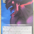 Weiss Schwarz Fate stay night FS/S77-091C C Berserker Trading Card NM