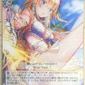 Weiss Schwarz Heaven Burns Red HBR/W117-075C C Tsukasa Tojo Trading Card NM