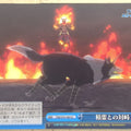 Weiss Schwarz That Time I Got Reincarnated as a Slime TSK/S70-100CC CC Trading Card NM
