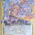 Z/X Zillions of Enemy X Z/X B23-058-R R Servita Trading Card NM