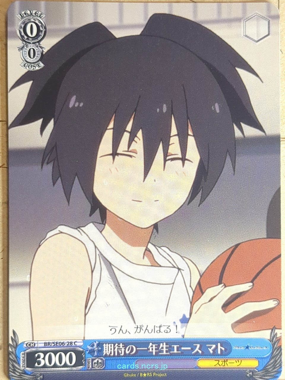 Weiss Schwarz Black rock shooter BR/SE06-28C C Mato Kuroi Trading Card NM