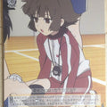 Weiss Schwarz Black rock shooter BR/SE06-03C C Yuu Kotari Trading Card NM