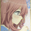 Build Divide Bright My Dress-Up Darling BB-BSQ-051R R Shinju Inui Trading Card NM
