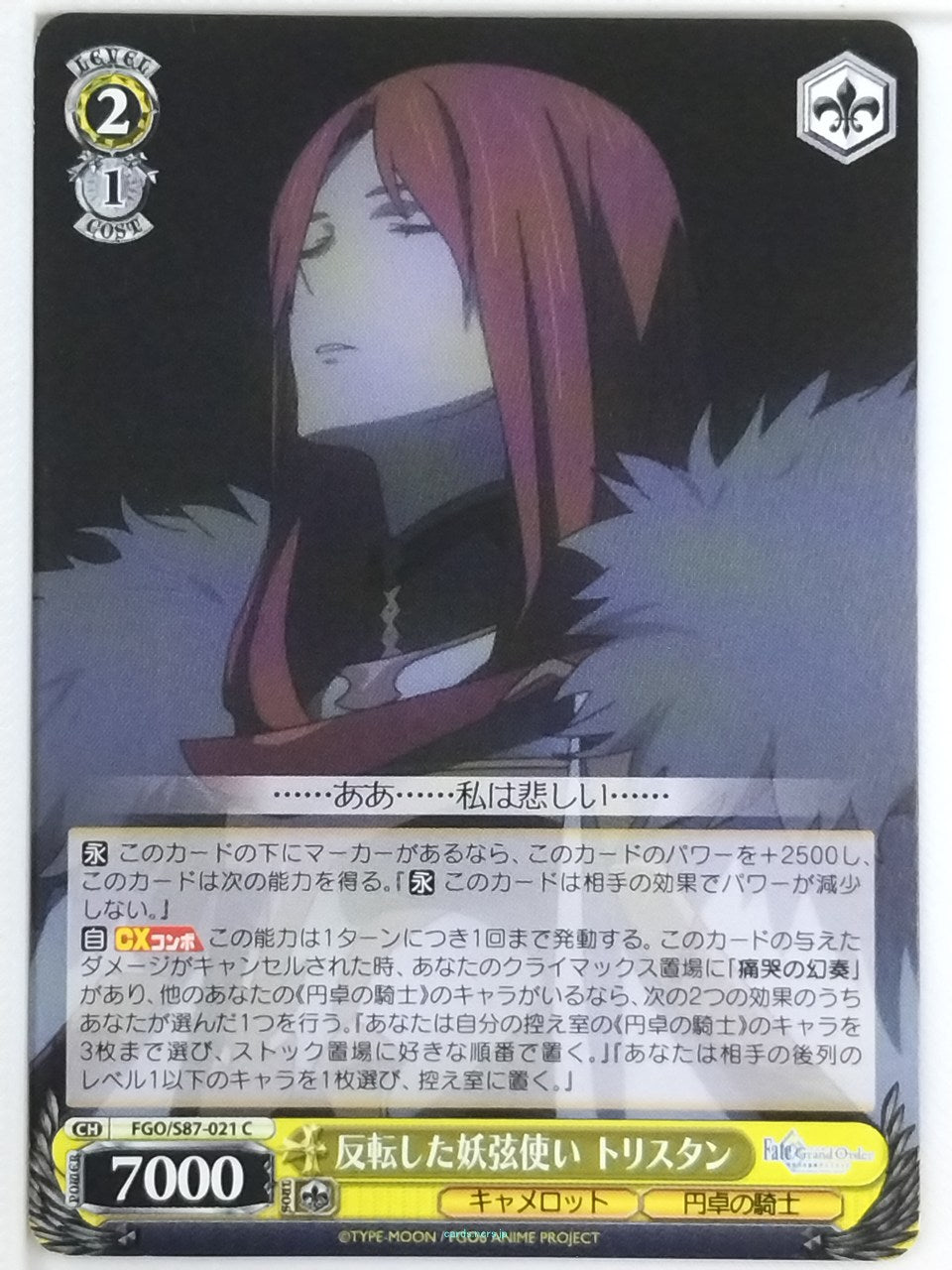 Weiss Schwarz Fate Grand Order FGO/S87-021C C Tristan Trading Card NM