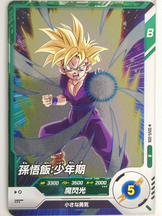 DragonBall Super Divers Dragon Ball DSD/SDV5-006 R Son Gohan Trading Card NM